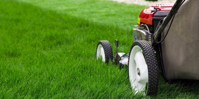 Bryan Texas Professional Lawn Care Services